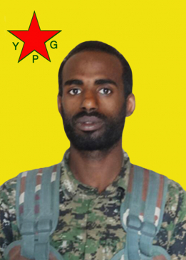 EL&Icirc;ŞER ZAGROS