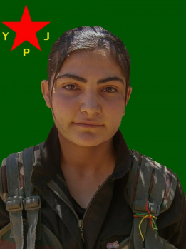 ROJHILAT AMED