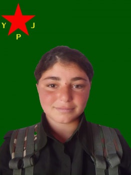 BÊRÎTAN ARKADAŞ