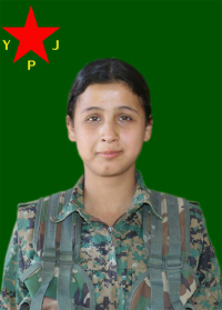 RONAHÎ MÊRDÎN