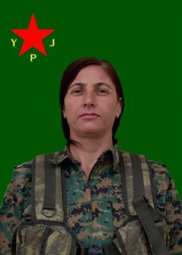 ZÎLAN CİLO