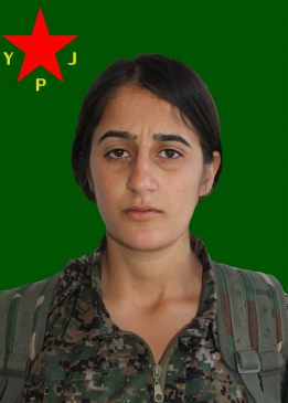 ROJÎN GEWDA