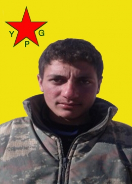 AMED TIL TEMIR