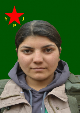 DEVRİM ERCÎN CÎZRÊ
