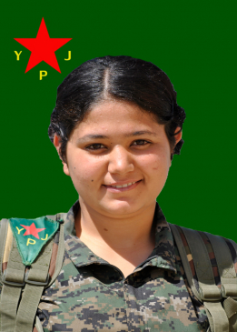 AGIRÎ YILMAZ