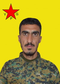 ŞAHÎN SERÊKANÎ