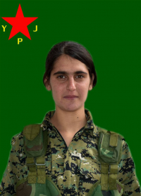 DILXWÎN DIJWAR KOBANÊ