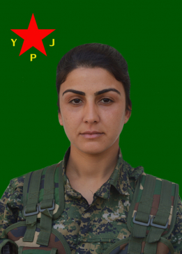 HİRA VIYAN AMED