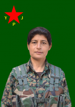 SOSIN BÎRHAT