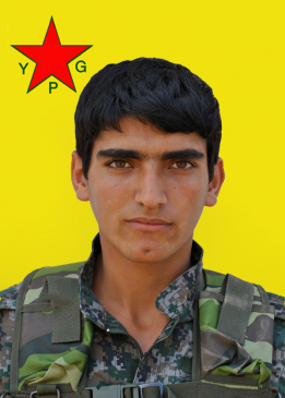 DILŞÊR ZINAR