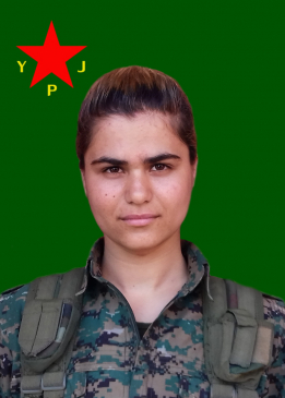 ZERYAN CUDÎ