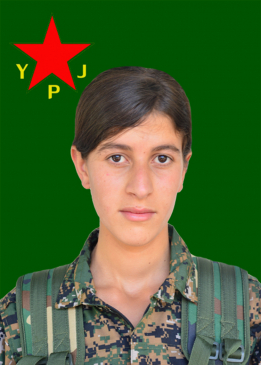 DENÎZ DERYA