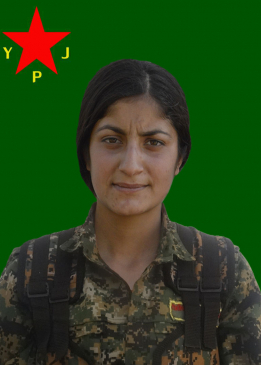 SOZDAR GARZAN
