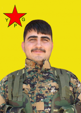 RAMAN QAMIŞLO