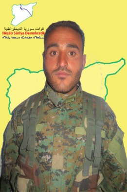 HOGIR ŞEDADÊ