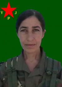 HÊVÎDAR DARA