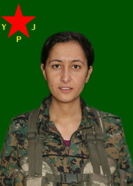 ZÎLAN CUDÎ