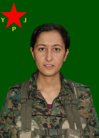 ZÎLAN CUDÎ
