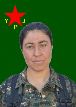 DÎCLE KOBANÊ