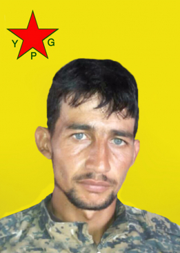 BOTAN CEZRA