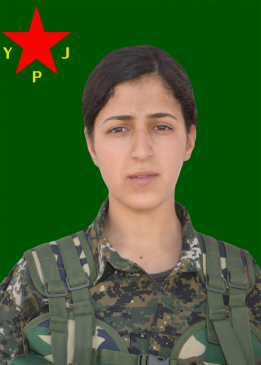 ELÎF AMED