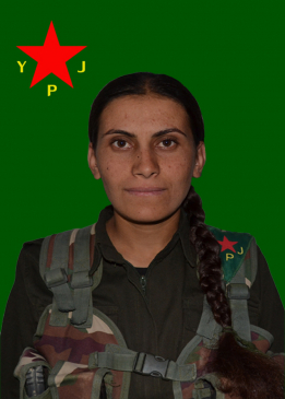SOZDAR AGIRÎ