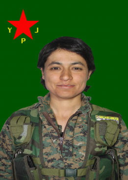 AVRÎN GARZAN
