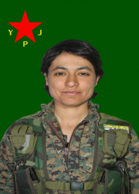 AVRÎN GARZAN