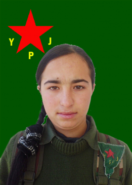 C&Icirc;HAN BOTAN