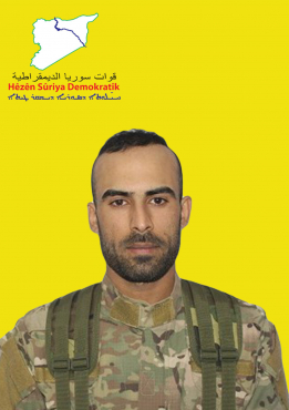 BARAN QAMIŞLO