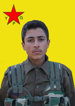 CANŞÊR EFRÎN