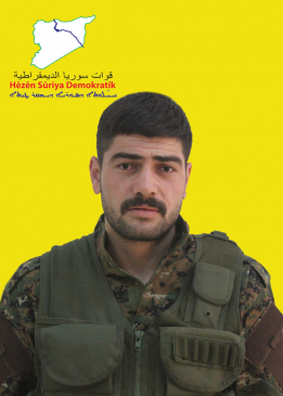 SERDAR FARAŞÎN