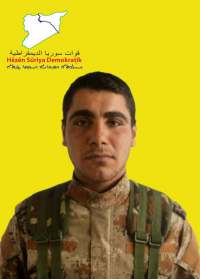 BASIL SEDAWÎ