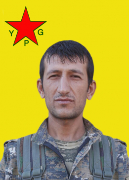 ŞAHÎN ŞIYAR