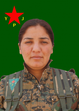 ZÎLAN BERÎTAN