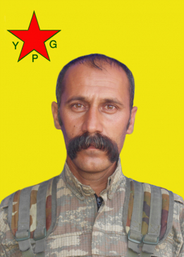 HEQÎ AMÛDÊ