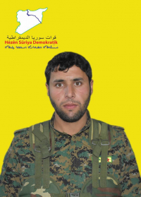 SEQIR SURÎ