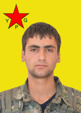 HARUN RAMAN TORÎ