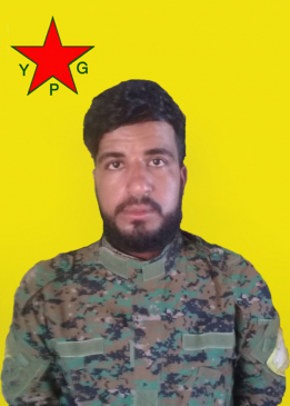 ELÎ BOSAT