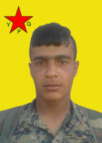 DIYAR ŞEDADÊ