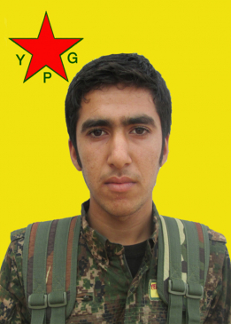 DILBIRÎN KOBANÊ