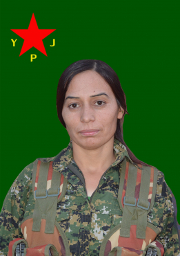 MIZGÎN KOBANÊ