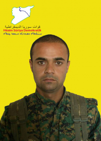 KANÎWAR EFRÎN