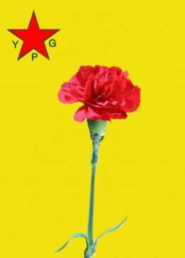 ORHAN KOBANÊ