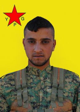CUDÎ ŞEVÎN