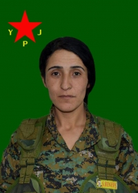 ARYEN KOÇER