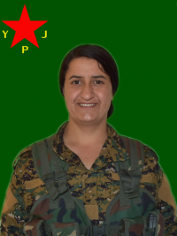 AVREL RODÎ