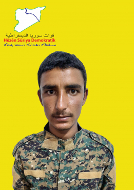 BAJARÎ HEMED