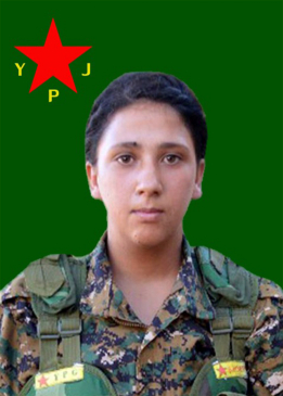 SARA TÊKOŞÎN