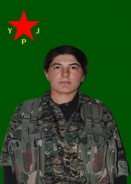 SILAV FARAŞÎN